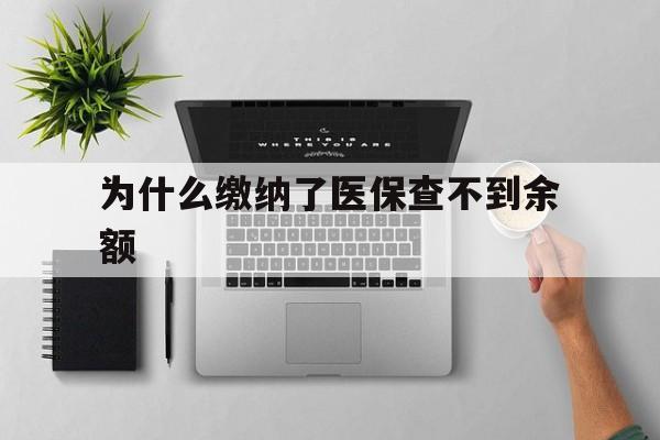 宁波最新为什么缴纳了医保查不到余额方法分析(最方便真实的宁波医保交了费怎么查不到方法)